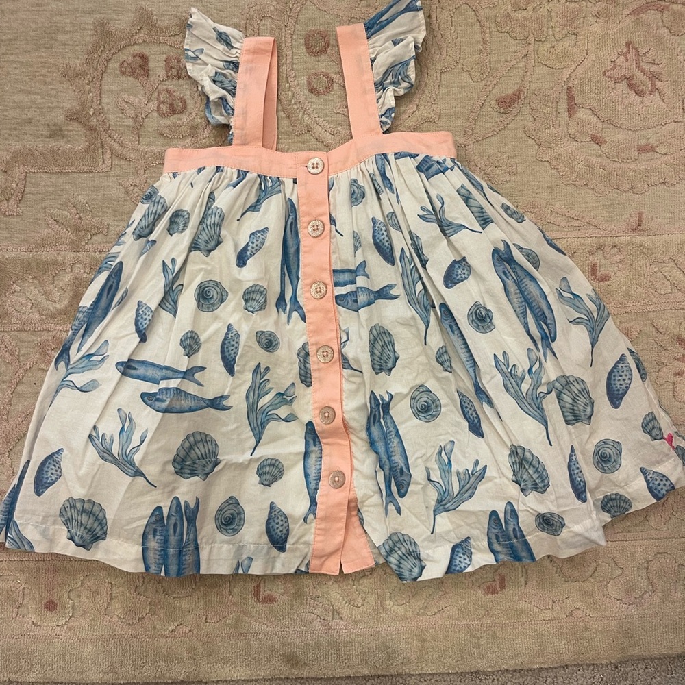 Pink Chicken Blue and Peach Seashell Dress